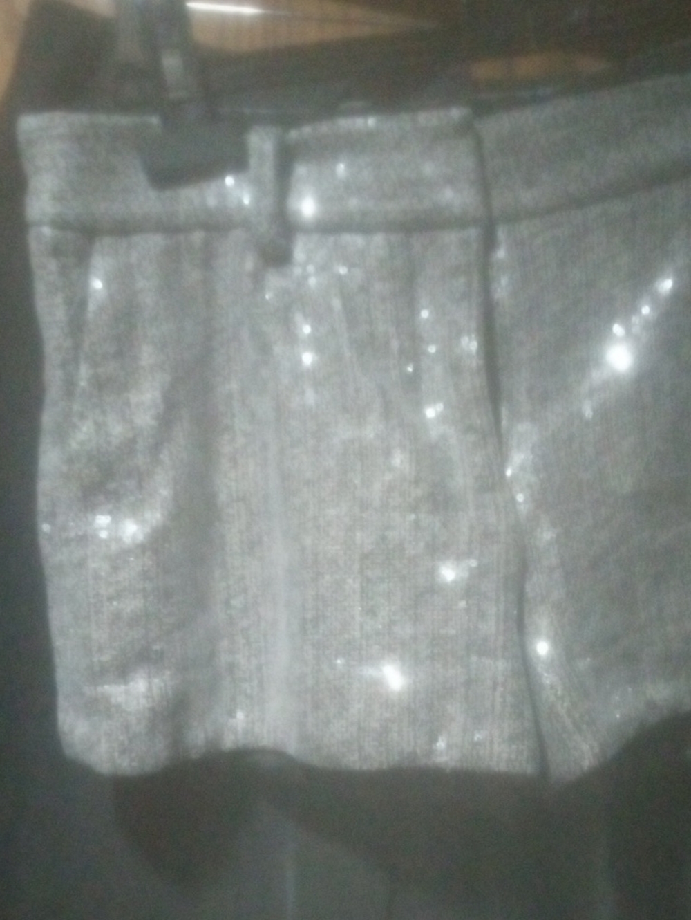 Diane Von Furstenberg Silver Sparkly Shorts